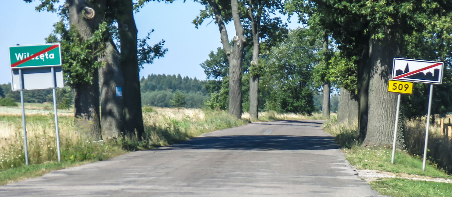 wilczeta